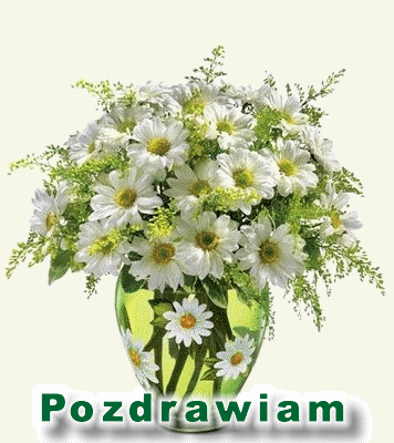 Białe margaretki i napis pozdrawiam